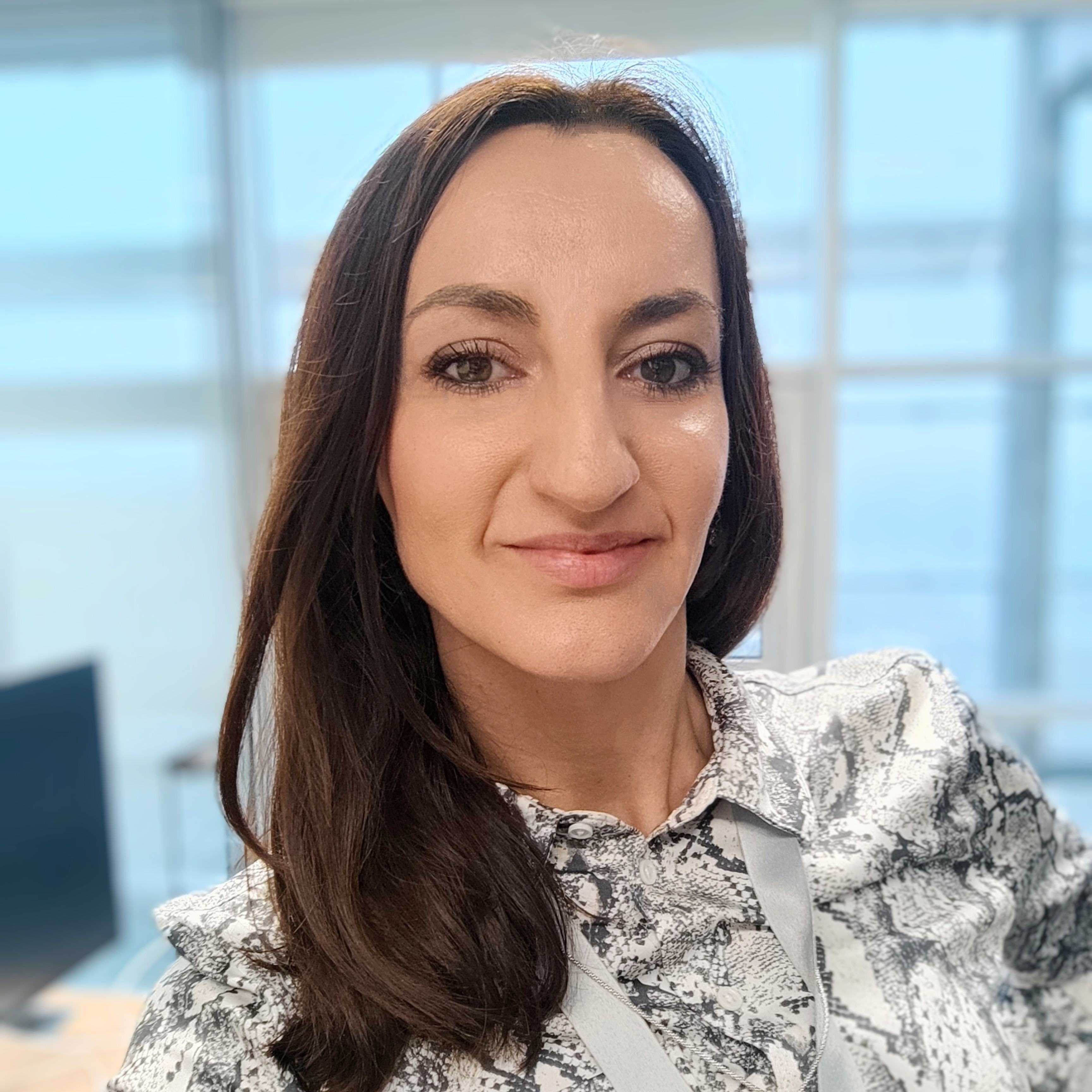 Slika člana